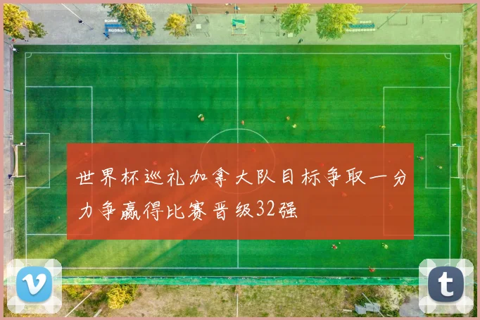 世界杯巡礼加拿大队目标争取一分力争赢得比赛晋级32强