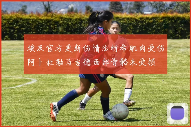 埃及官方更新伤情法特希肌肉受伤阿卜杜勒马吉德面部骨骼未受损